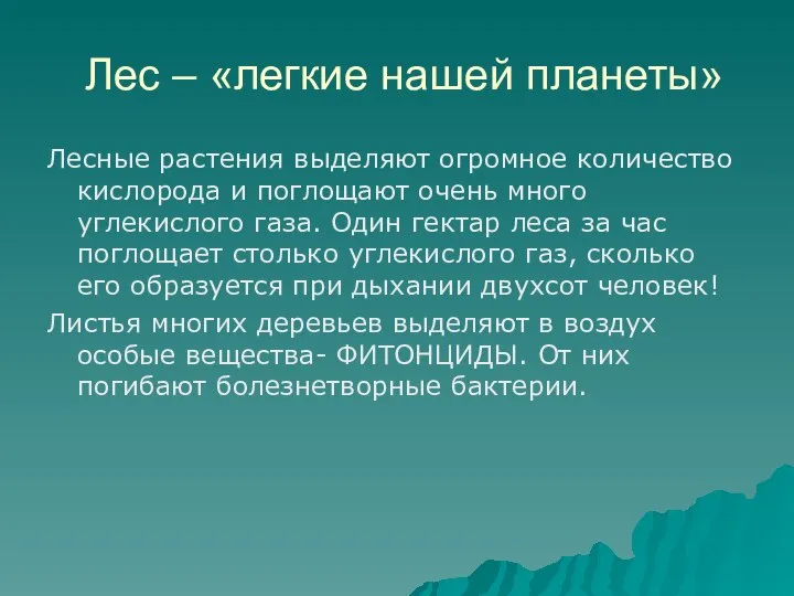 Лес – «легкие нашей планеты» Лесные растения выделяют огромное количество кислорода