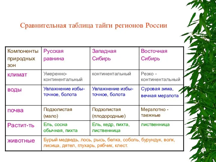 Сравнительная таблица тайги регионов России