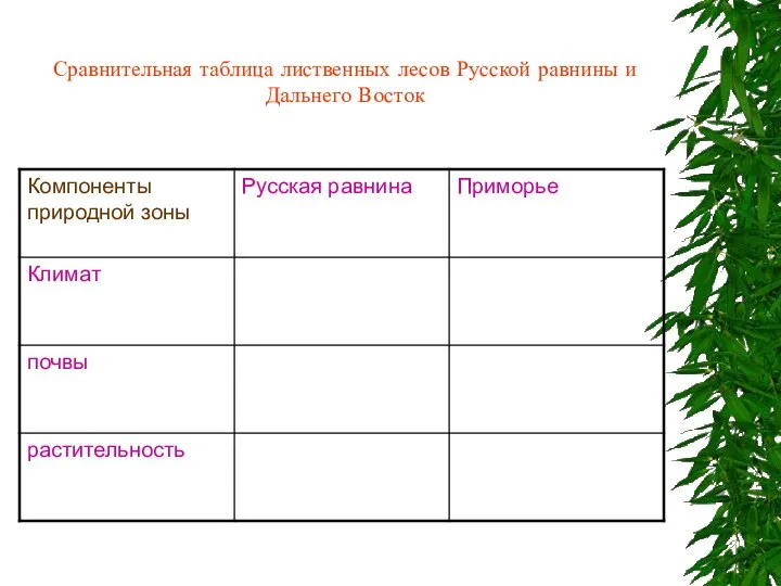 Сравнительная таблица лиственных лесов Русской равнины и Дальнего Восток