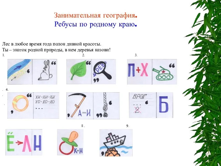 Занимательная география. Ребусы по родному краю. Лес в любое время года