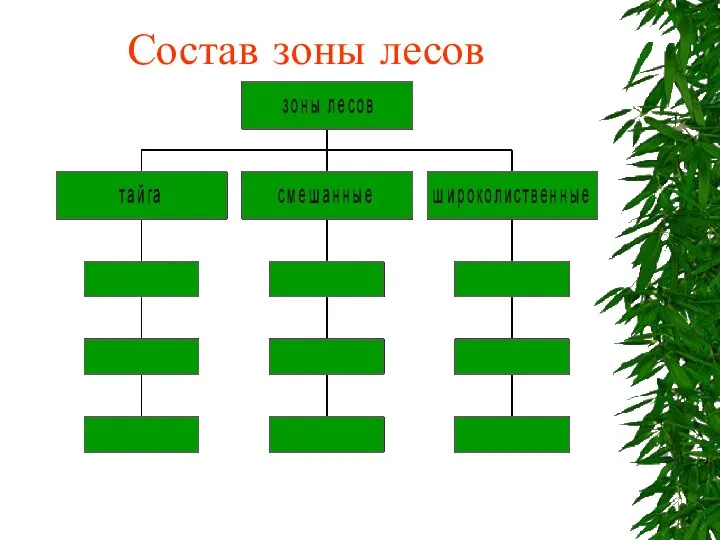 Состав зоны лесов