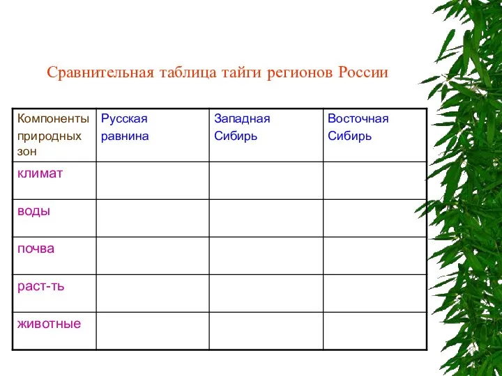 Сравнительная таблица тайги регионов России