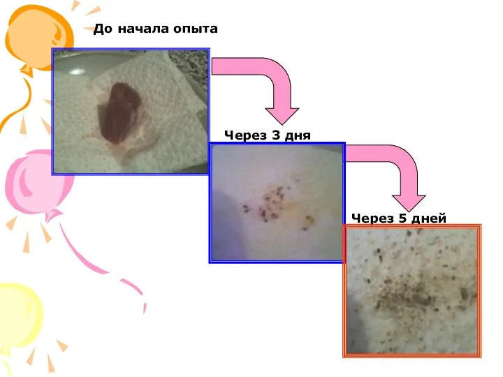 Через 3 дня Через 5 дней До начала опыта