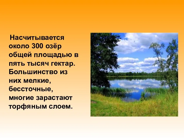 Насчитывается около 300 озёр общей площадью в пять тысяч гектар. Большинство