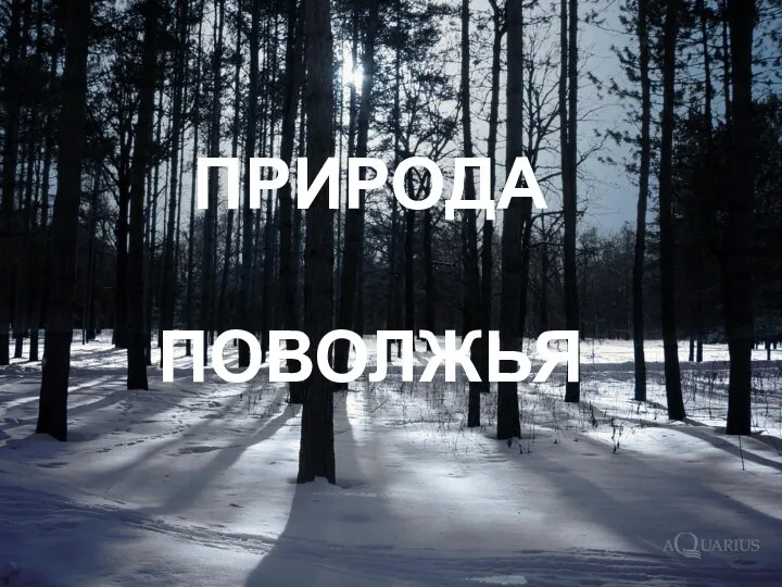 ПРИРОДА ПОВОЛЖЬЯ ПРИРОДА ПОВОЛЖЬЯ