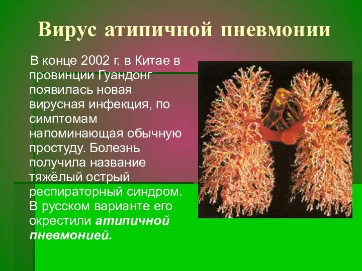 Вирус атипичной пневмонии В конце 2002 г. в Китае в провинции