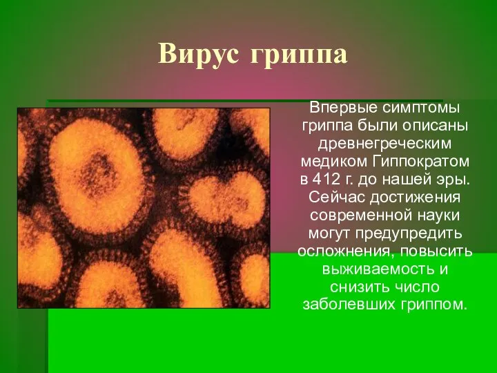 Вирус гриппа Впервые симптомы гриппа были описаны древнегреческим медиком Гиппократом в