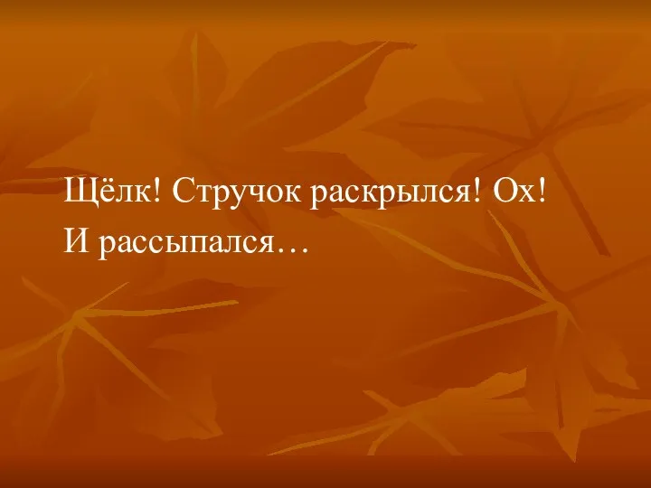 Щёлк! Стручок раскрылся! Ох! И рассыпался…