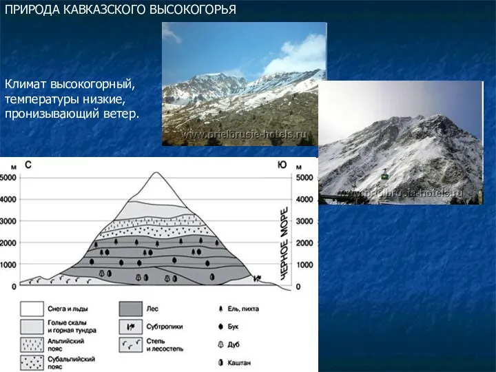 ПРИРОДА КАВКАЗСКОГО ВЫСОКОГОРЬЯ Климат высокогорный, температуры низкие, пронизывающий ветер.