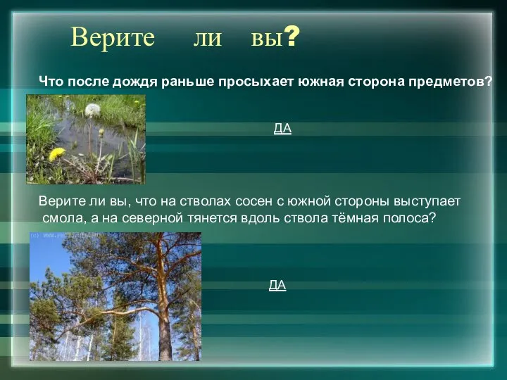 Верите ли вы? Что после дождя раньше просыхает южная сторона предметов?