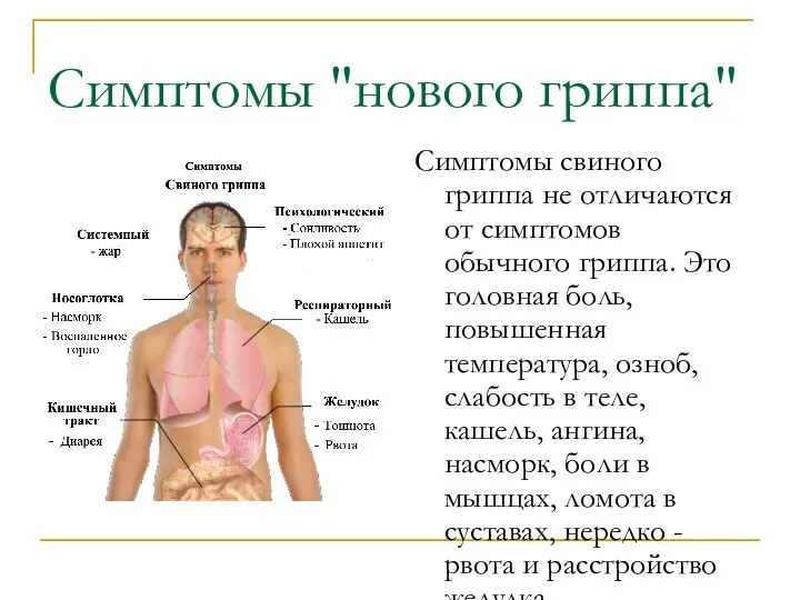 Симптомы "нового гриппа" Симптомы свиного гриппа не отличаются от симптомов обычного