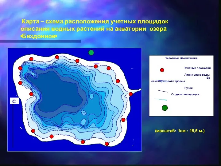 Условные обозначения Учетные площадки Линия уреза воды Бровка береговой террасы Ручей