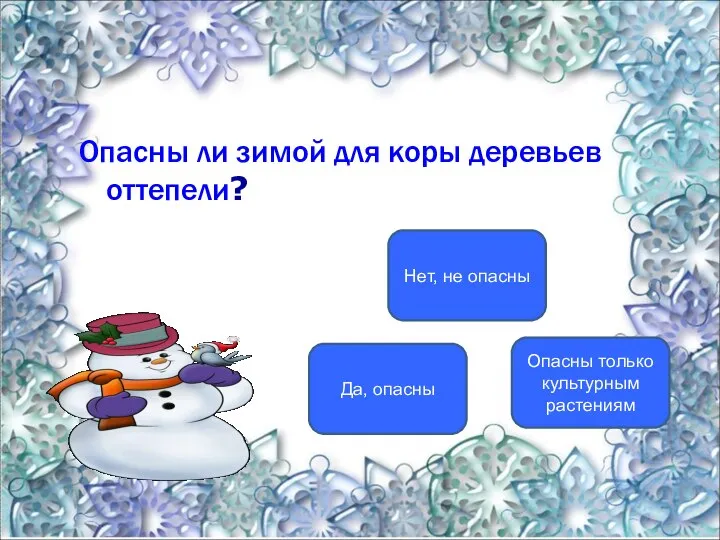 Опасны ли зимой для коры деревьев оттепели? Да, опасны Нет, не опасны Опасны только культурным растениям