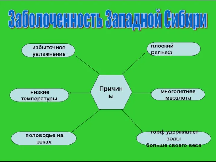 Заболоченность Западной Сибири Причины половодье на реках торф удерживает воды больше