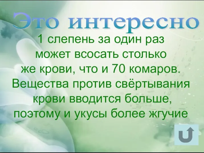 1 слепень за один раз может всосать столько же крови, что