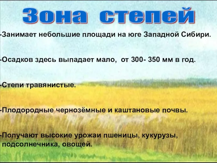 Зона степей Занимает небольшие площади на юге Западной Сибири. Осадков здесь