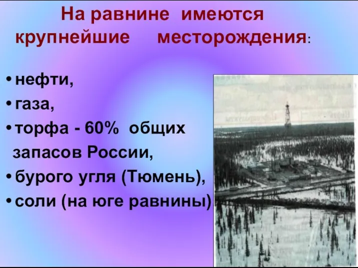 На равнине имеются крупнейшие месторождения: нефти, газа, торфа - 60% общих