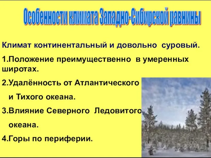 Особенности климата Западно-Сибирской равнины Климат континентальный и довольно суровый. 1.Положение преимущественно