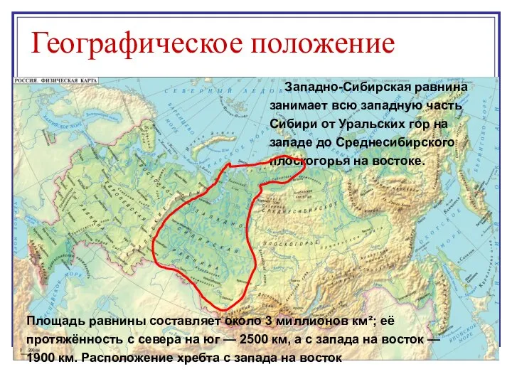 Географическое положение Площадь равнины составляет около 3 миллионов км²; её протяжённость