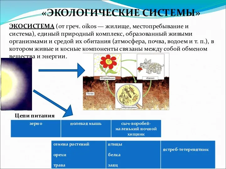 «ЭКОЛОГИЧЕСКИЕ СИСТЕМЫ» ЭКОСИСТЕМА (от греч. oikos — жилище, местопребывание и система),