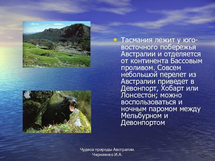 Чудеса природы Австралии. Черниенко И.А. Тасмания лежит у юго-восточного побережья Австралии