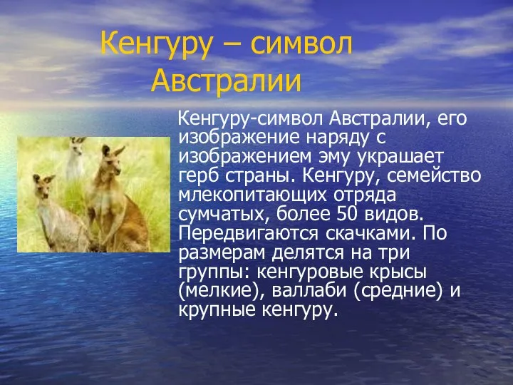 Кенгуру-символ Австралии, его изображение наряду с изображением эму украшает герб страны.