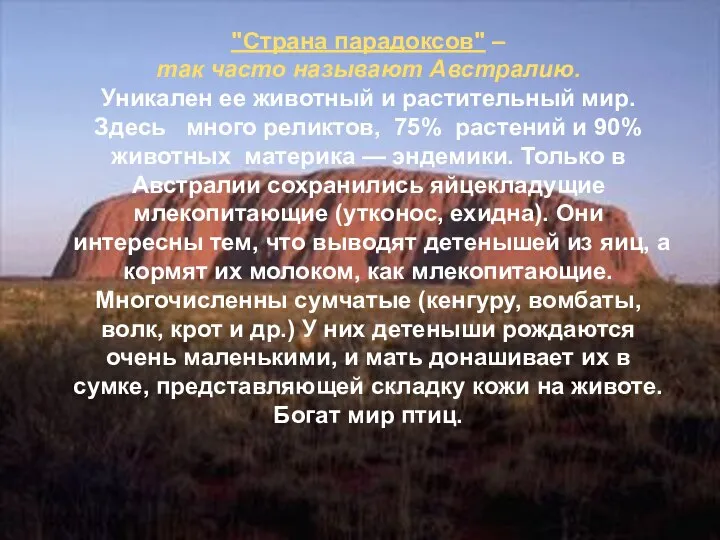 "Страна парадоксов" – так часто называют Австралию. Уникален ее животный и