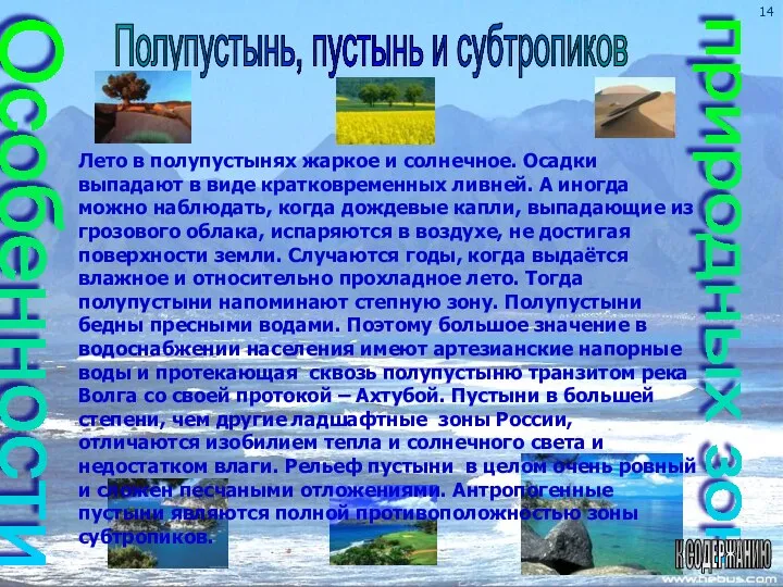 Особенности природных зон Полупустынь, пустынь и субтропиков К СОДЕРЖАНИЮ