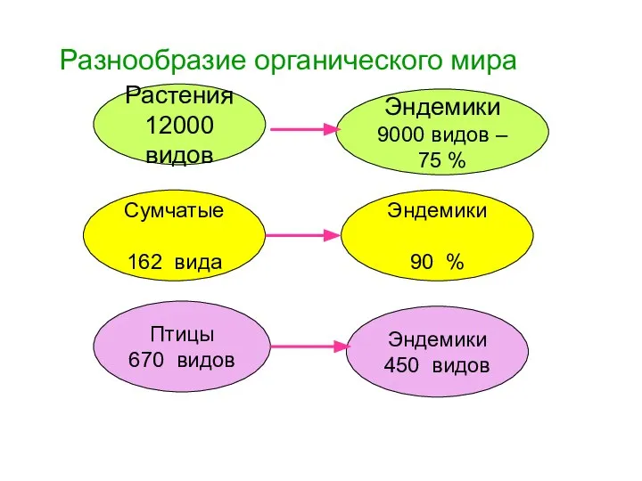 Разнообразие органического мира Эндемики 450 видов Растения 12000 видов Эндемики 9000