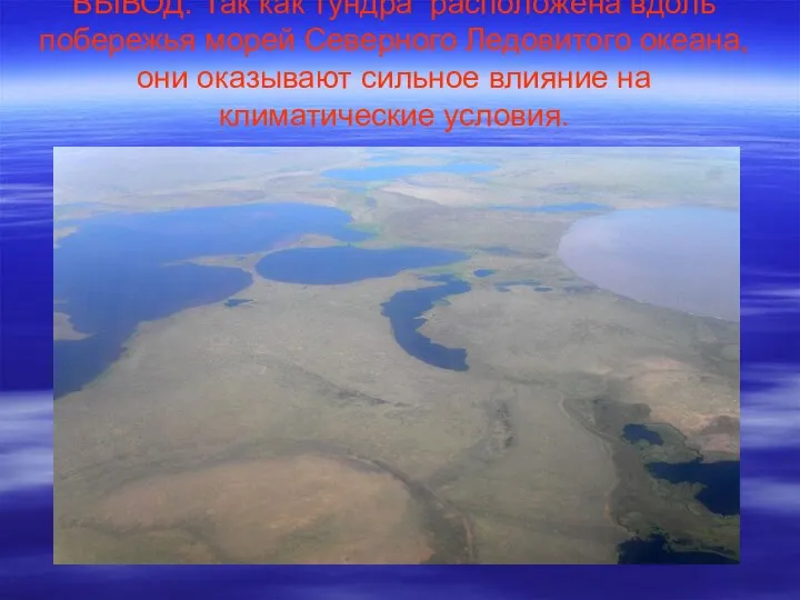 ВЫВОД: Так как тундра расположена вдоль побережья морей Северного Ледовитого океана,