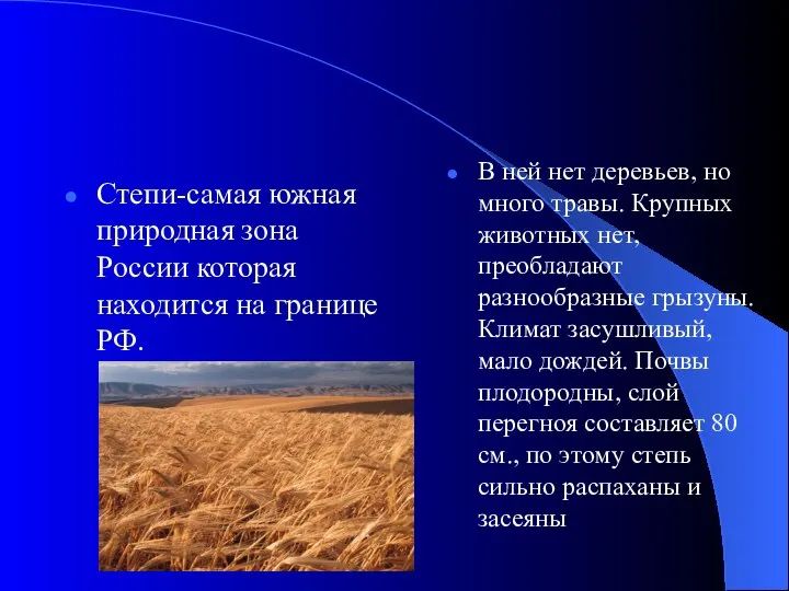 Степи-самая южная природная зона России которая находится на границе РФ. В