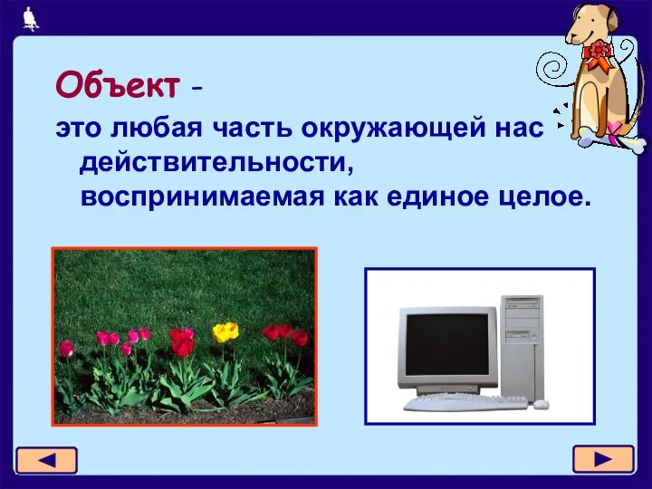 Объект - это любая часть окружающей нас действительности, воспринимаемая как единое целое.