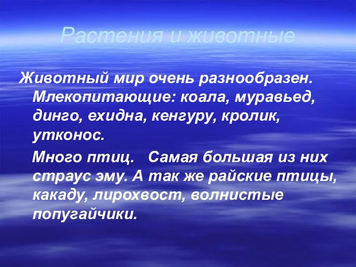 Растения и животные Животный мир очень разнообразен. Млекопитающие: коала, муравьед, динго,