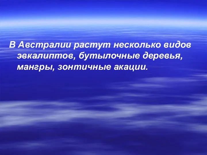 В Австралии растут несколько видов эвкалиптов, бутылочные деревья, мангры, зонтичные акации.