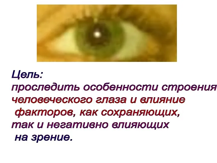 Цель: проследить особенности строения человеческого глаза и влияние факторов, как сохраняющих,
