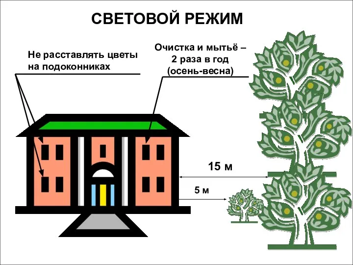 СВЕТОВОЙ РЕЖИМ 15 м Очистка и мытьё – 2 раза в