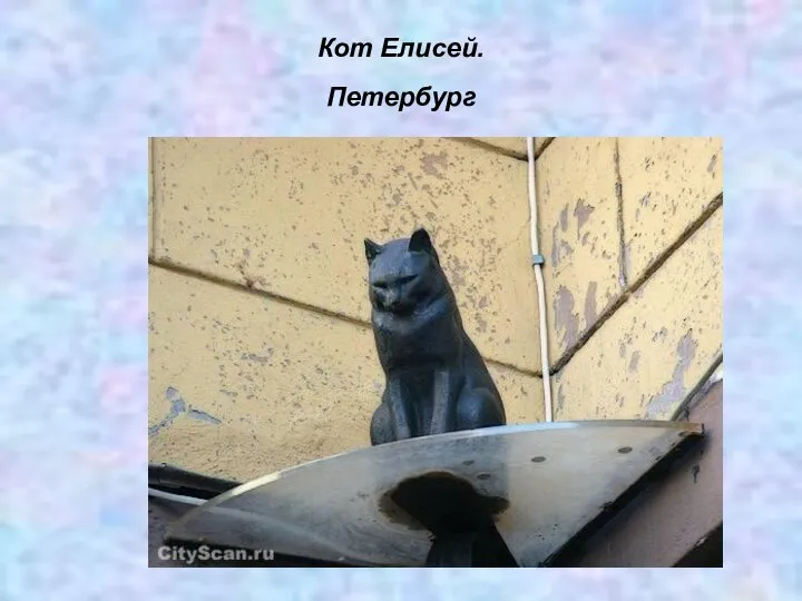 Кот Елисей. Петербург