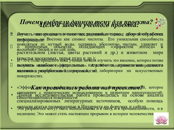 Почему выбрали данную тему для проекта? Лотос – одно из самых