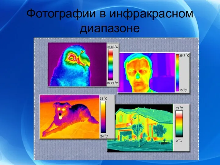 Фотографии в инфракрасном диапазоне