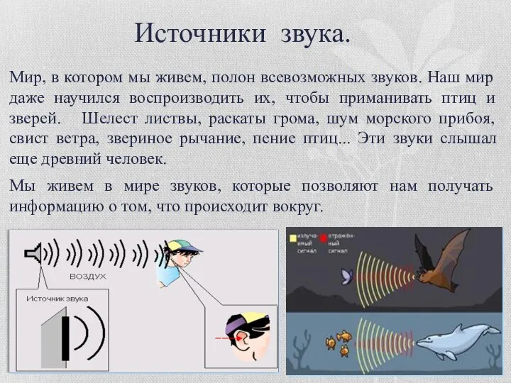 Источники звука. Мир, в котором мы живем, полон всевозможных звуков. Наш