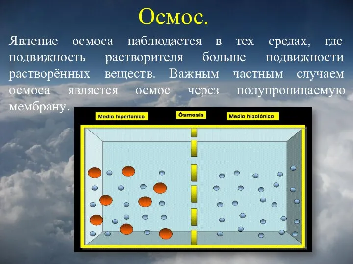 Осмос. Явление осмоса наблюдается в тех средах, где подвижность растворителя больше