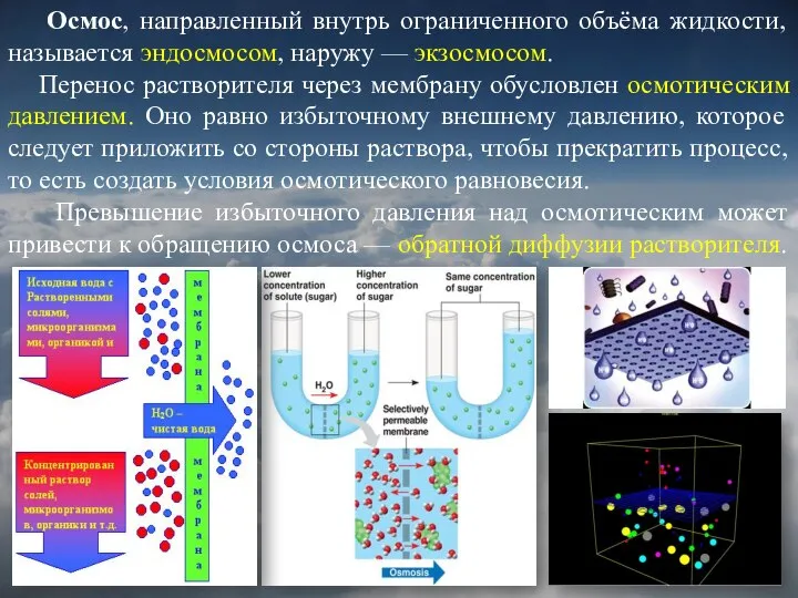 Осмос, направленный внутрь ограниченного объёма жидкости, называется эндосмосом, наружу — экзосмосом.