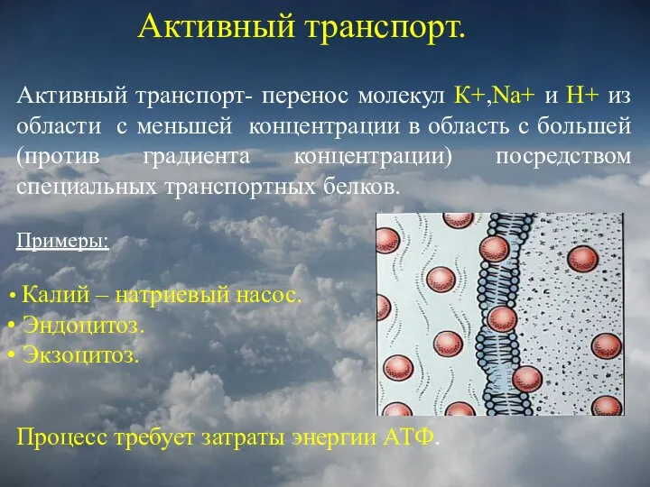 Активный транспорт. Активный транспорт- перенос молекул К+,Na+ и Н+ из области