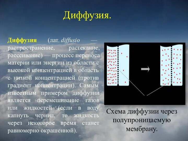 Диффузия. Диффузия. Схема диффузии через полупроницаемую мембрану. Диффузия (лат. diffusio —