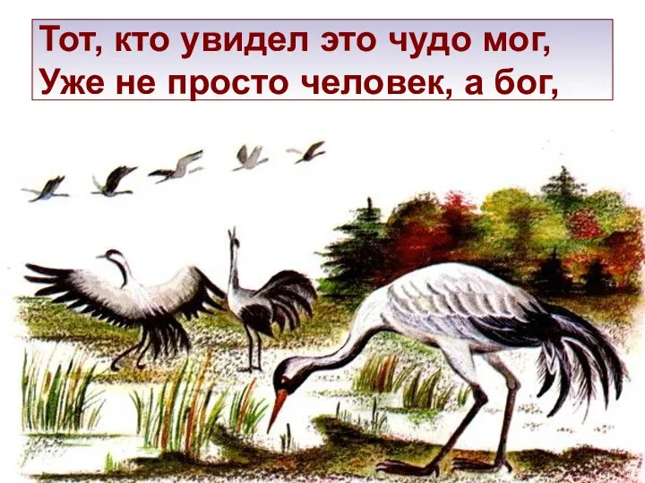 Тот, кто увидел это чудо мог, Уже не просто человек, а бог,