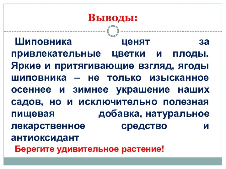 Выводы: Шиповника ценят за привлекательные цветки и плоды. Яркие и притягивающие