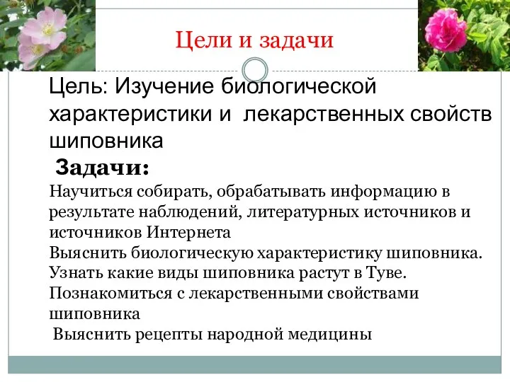 Цели и задачи Цель: Изучение биологической характеристики и лекарственных свойств шиповника