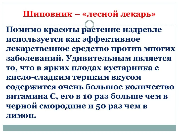 Шиповник – «лесной лекарь» Помимо красоты растение издревле используется как эффективное