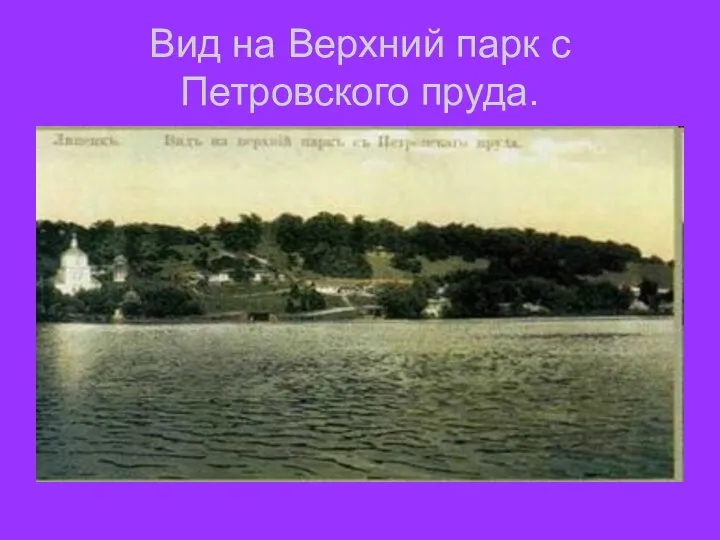 Вид на Верхний парк с Петровского пруда.