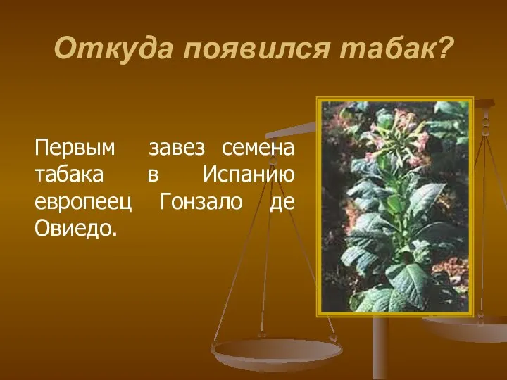 Откуда появился табак? Первым завез семена табака в Испанию европеец Гонзало де Овиедо.